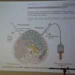 DSCF7457